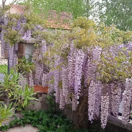Independant Dans Maison Particuliere Bayet